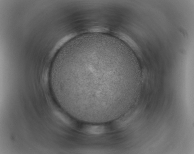 X0000114220155200910231450