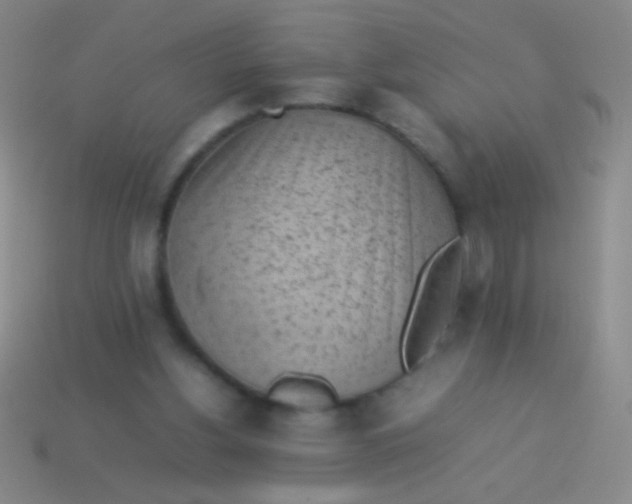 X0000114220156200910231450