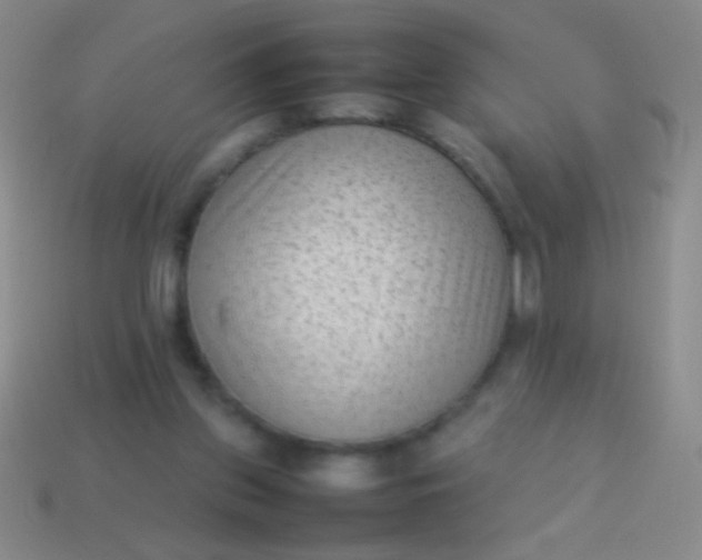 X0000114220157200910231450