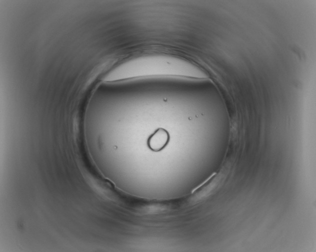 X0000114220158200910231450