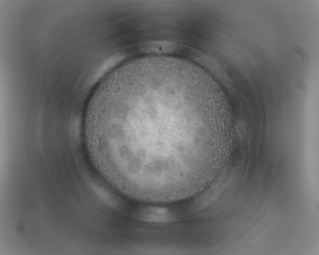 X0000114220159200910231450