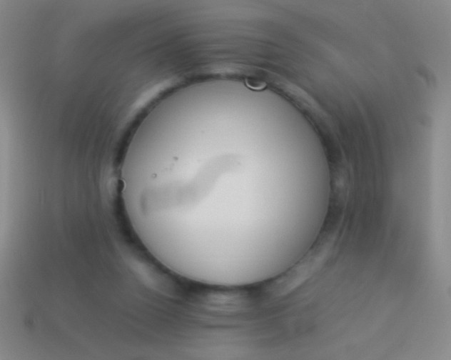 X0000114220160200910231450