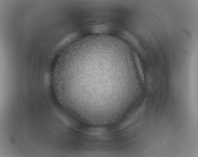 X0000114220161200910231450