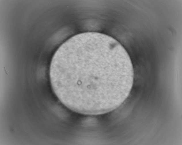 X0000114220162200910231450