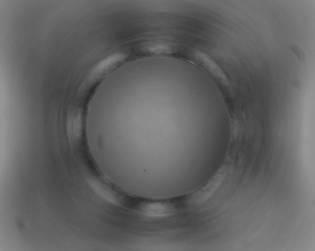 X0000114220163200910231450