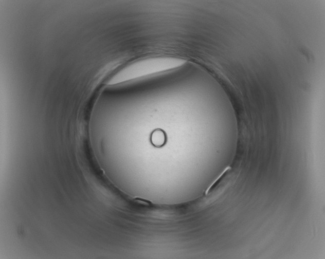 X0000114220164200910231450