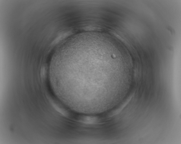 X0000114220165200910231450