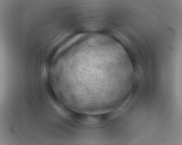 X0000114220166200910231450