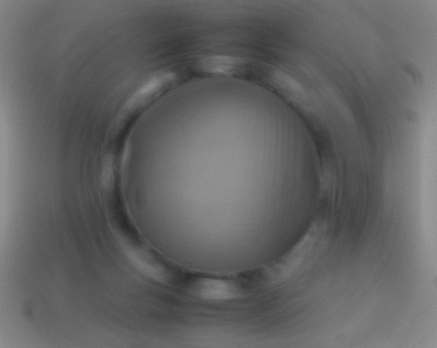 X0000114220167200910231450