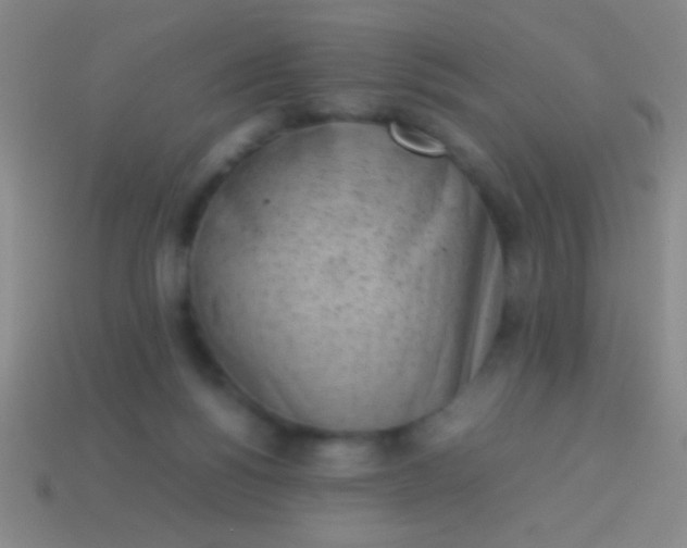 X0000114220168200910231450