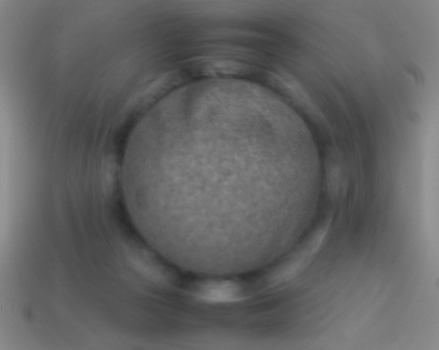 X0000114220169200910231450