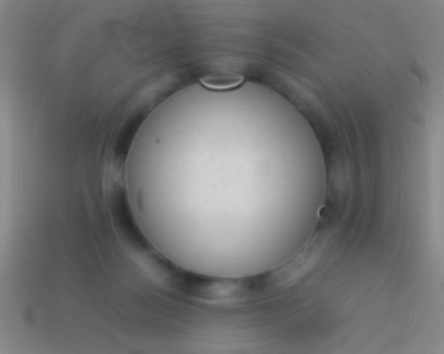 X0000114220172200910231450