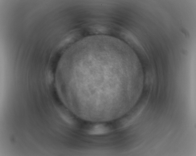 X0000114220173200910231450