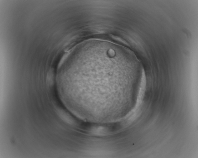 X0000114220174200910231450