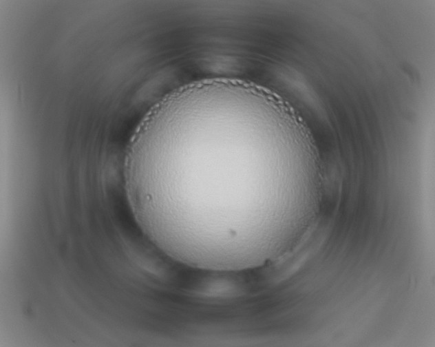 X0000114220175200910231450