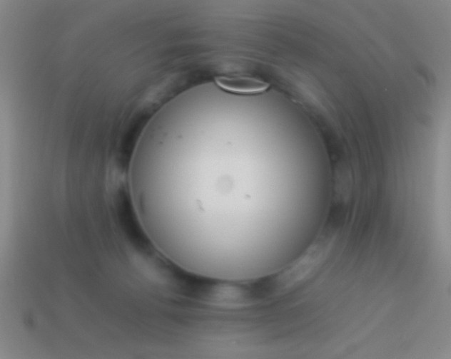 X0000114220176200910231450