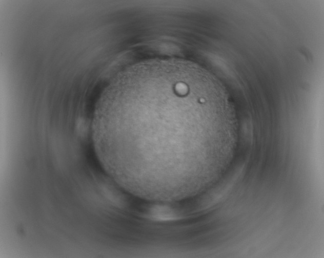 X0000114220177200910231450