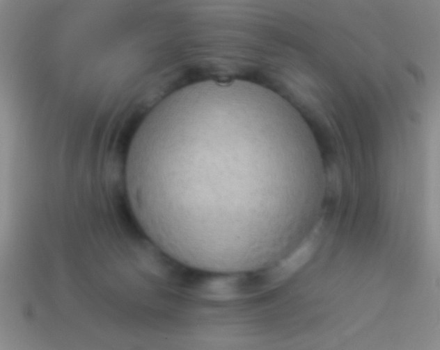 X0000114220178200910231450