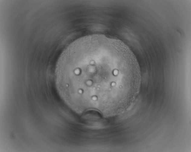 X0000114220179200910231450