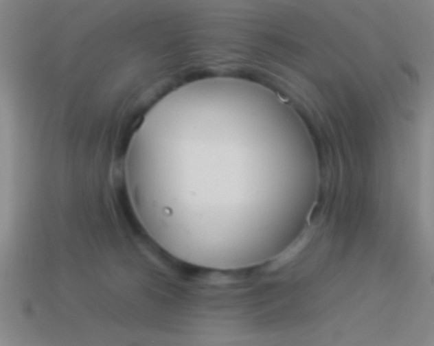 X0000114220180200910231450