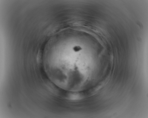 X0000114220181200910231450