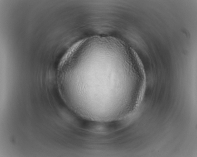 X0000114220182200910231450