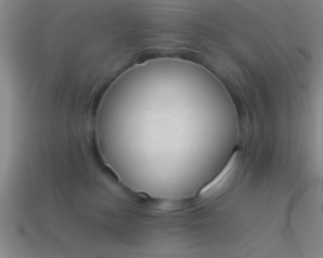 X0000114220184200910231450