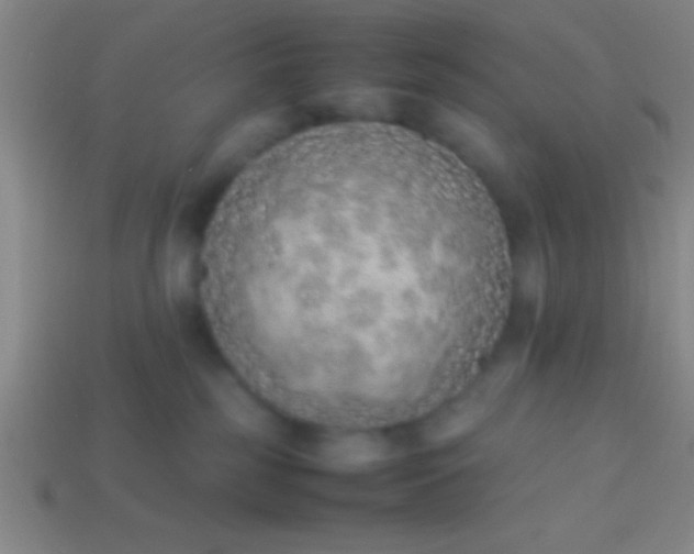 X0000114220185200910231450