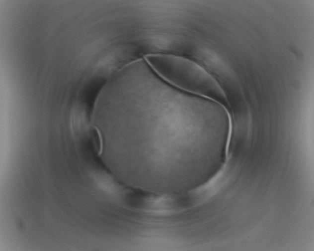 X0000114220186200910231450