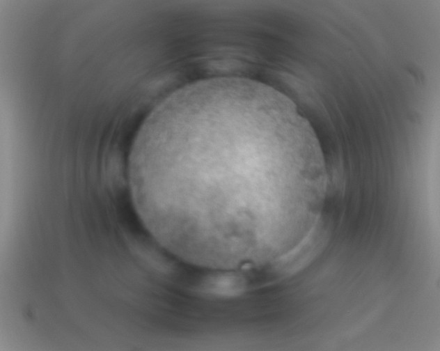 X0000114220187200910231450