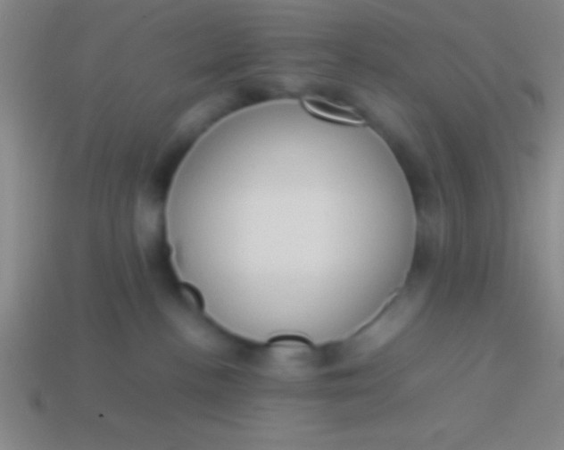 X0000114220188200910231450