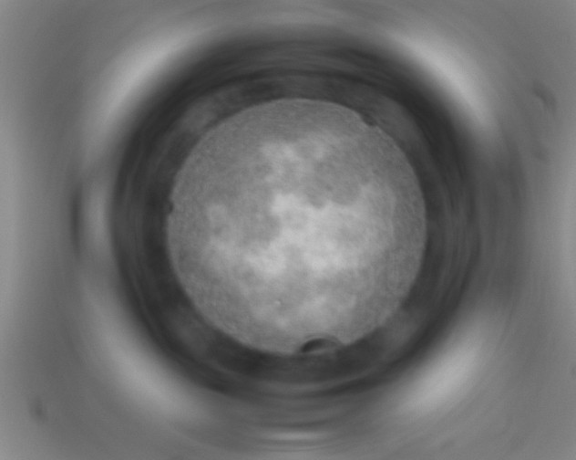 X0000114220189200910231450