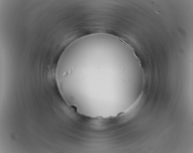 X0000114220190200910231451