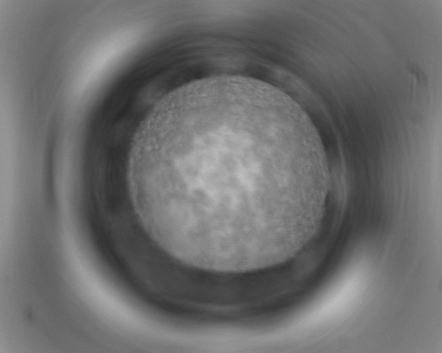 X0000114220191200910231451