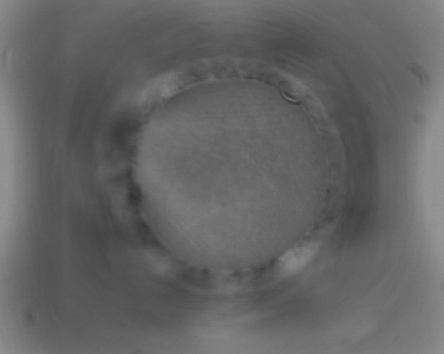 X0000114220192200910231451