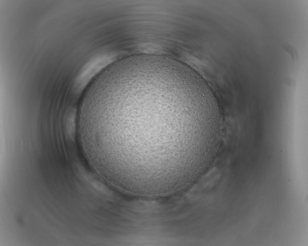 X0000114220194200910231450