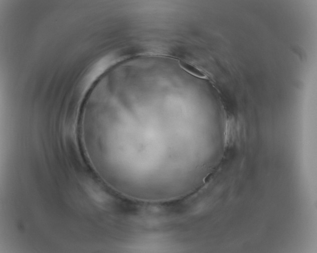 X0000114220195200910231450