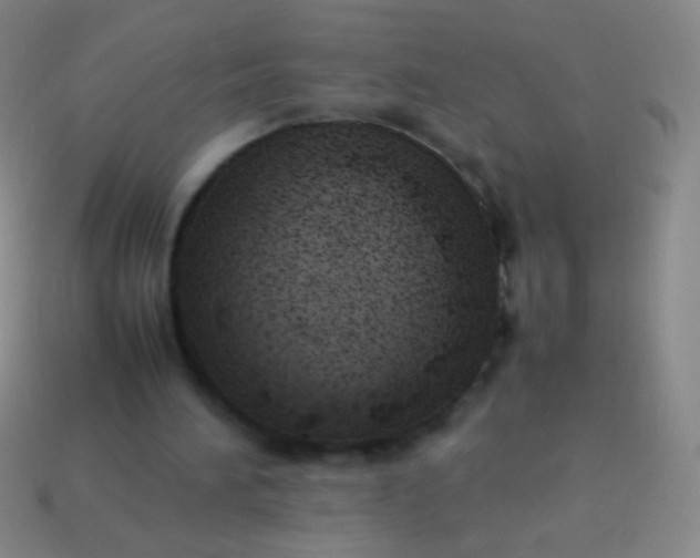 X0000114220196200910231450