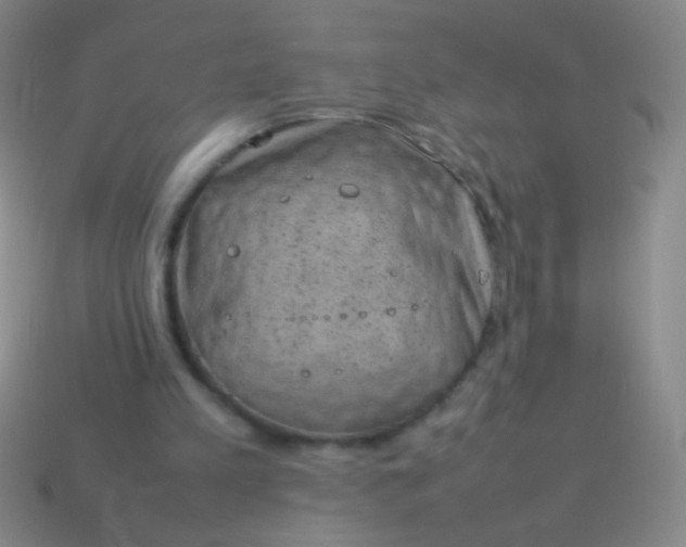 X0000114220197200910231450