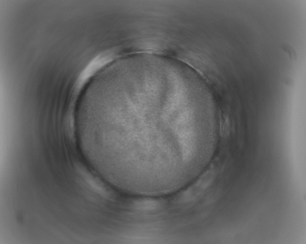 X0000114220198200910231450