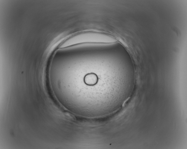 X0000114220199200910231450