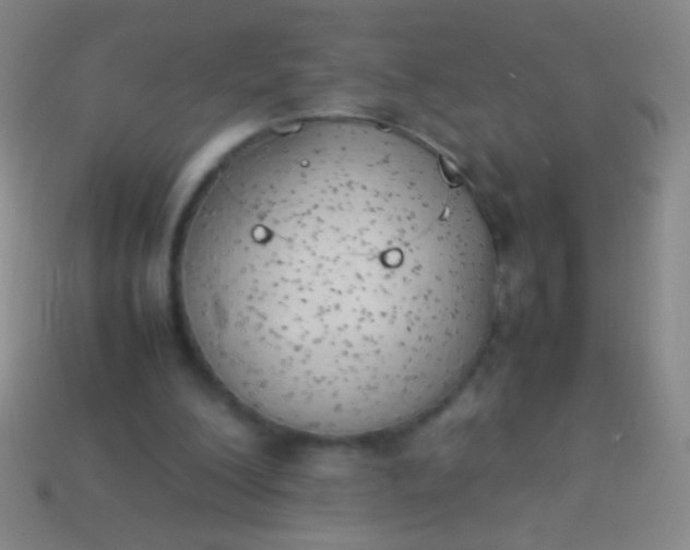 X0000114220200200910231450