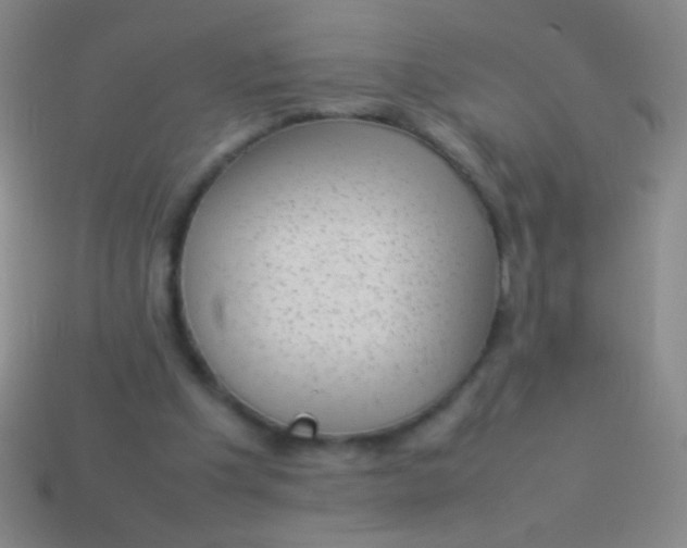 X0000114220201200910231450