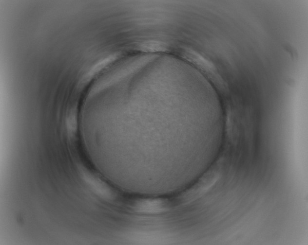 X0000114220202200910231450