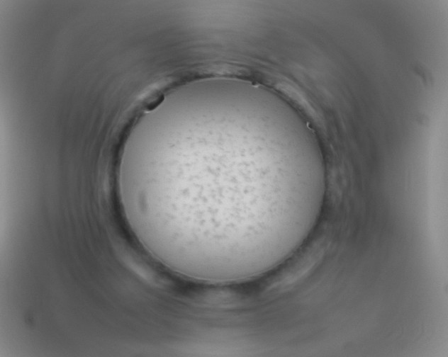 X0000114220203200910231450