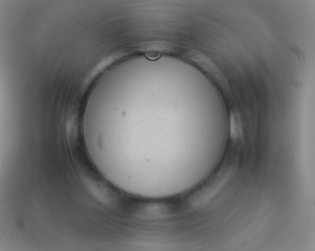 X0000114220204200910231450