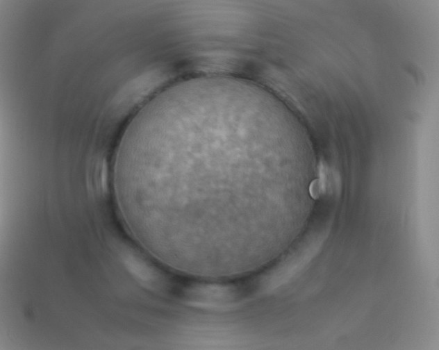 X0000114220205200910231450