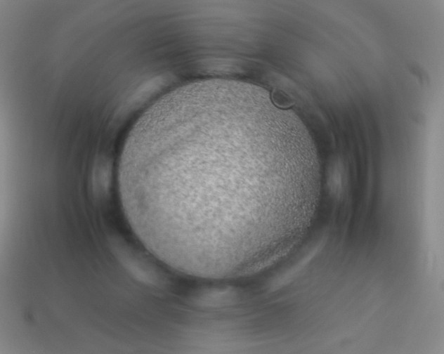 X0000114220206200910231450