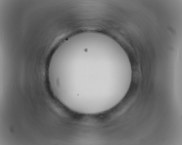 X0000114220207200910231450