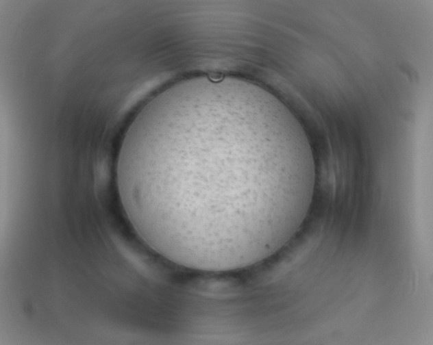 X0000114220208200910231450